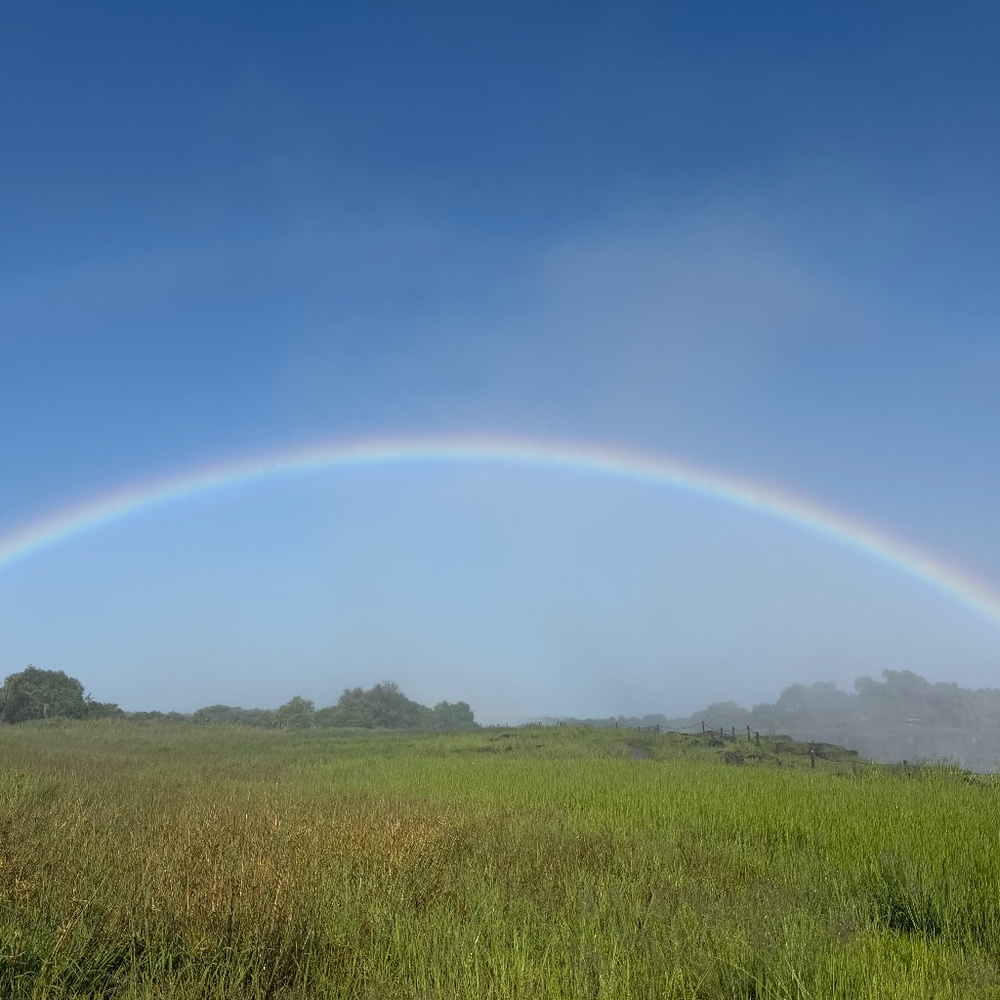 Meet your Posher, Abbey